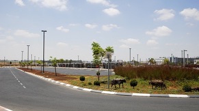 Bus Parking Area